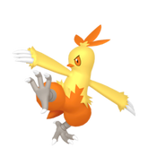 6IV Combusken Indigo Disk Pokemon Scarlet and Violet